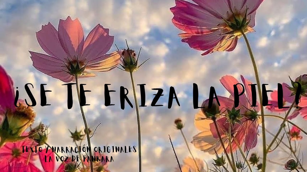 la piel es de quien la eriza poema