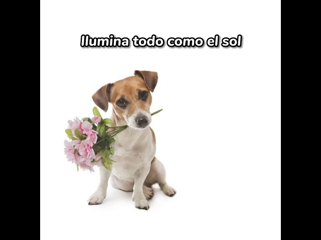 maravilla de esa boca y la vida pinta mucho mejor