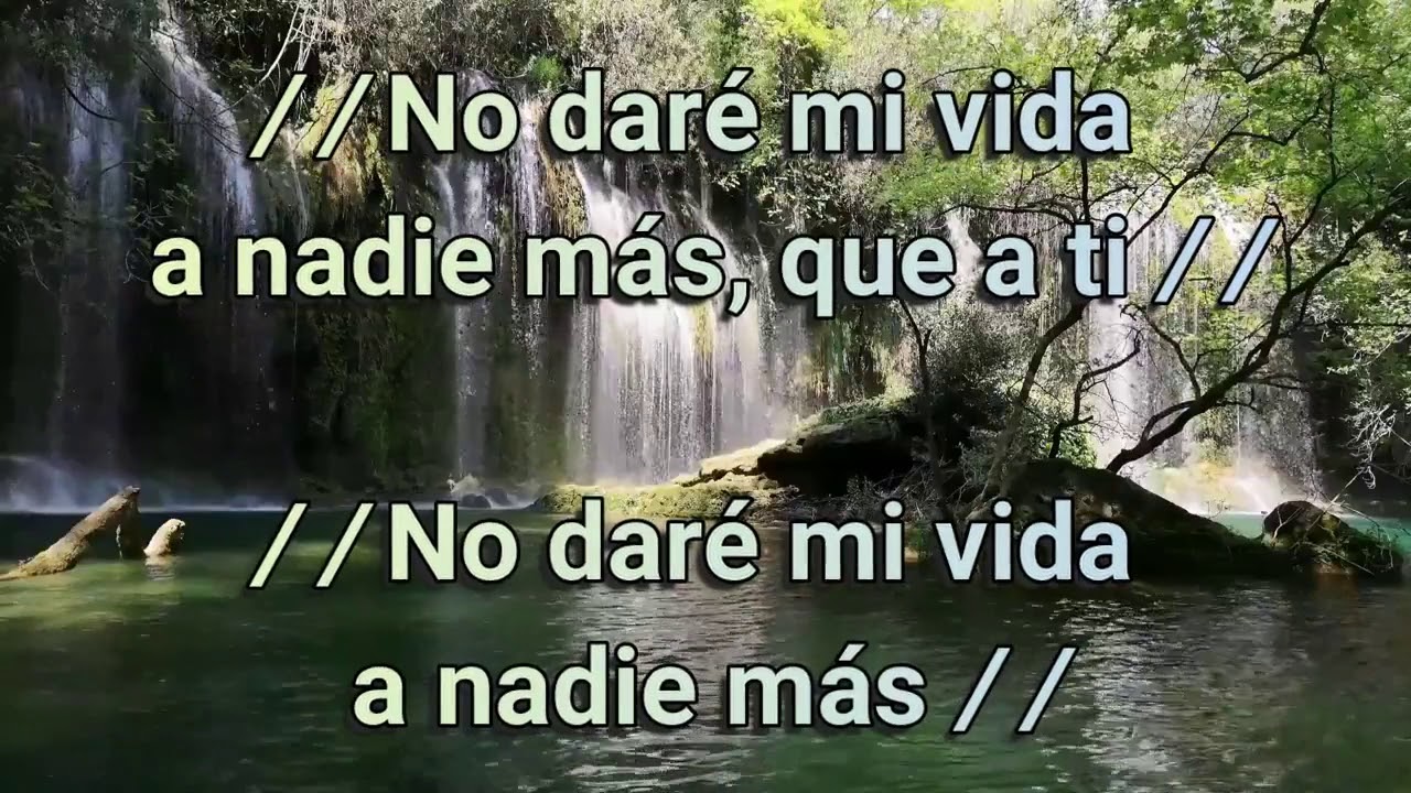 no dare mi vida a nadie mas letra