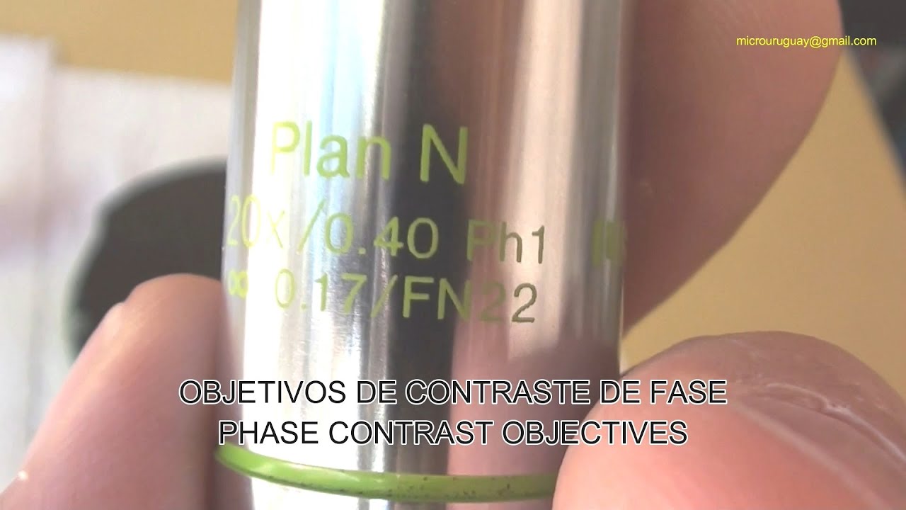 preparacion de muestras para microscopio de contraste de fases