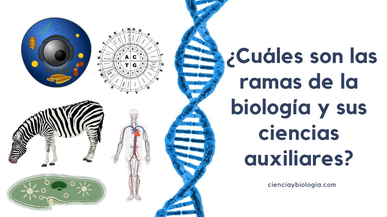 ramas de la biologia y las ciencias auxiliares