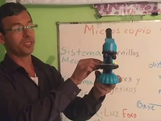 como funciona y que permite observar el microscopio simple