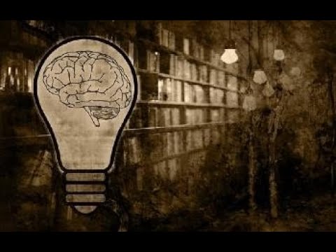 cuales son las principales ramas de las ciencias sociales