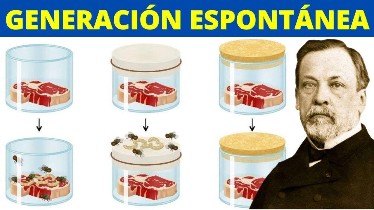 experimento de la teoria de la generacion espontanea