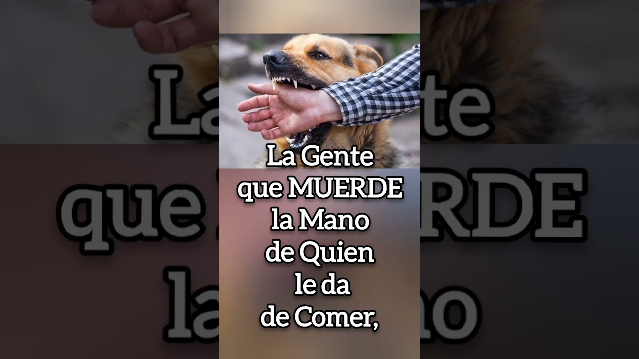 frases de gente mal agradecida en la vida