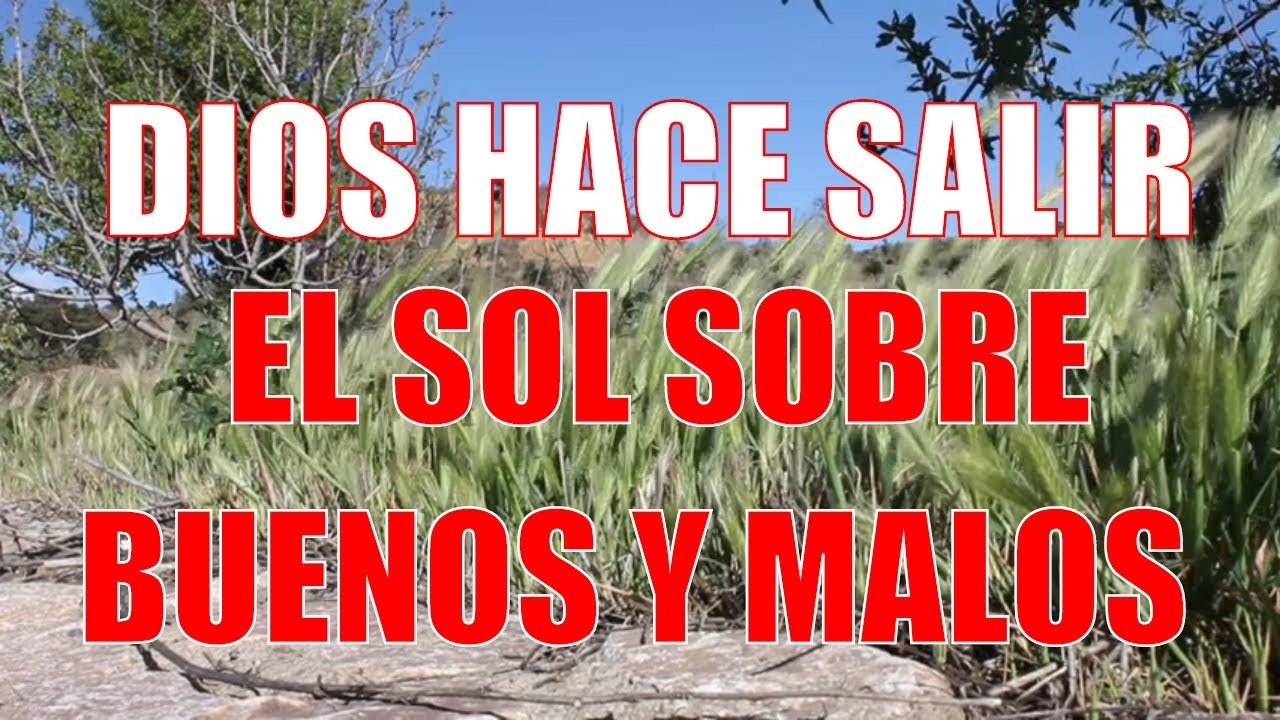 hace salir el sol sobre buenos y malos