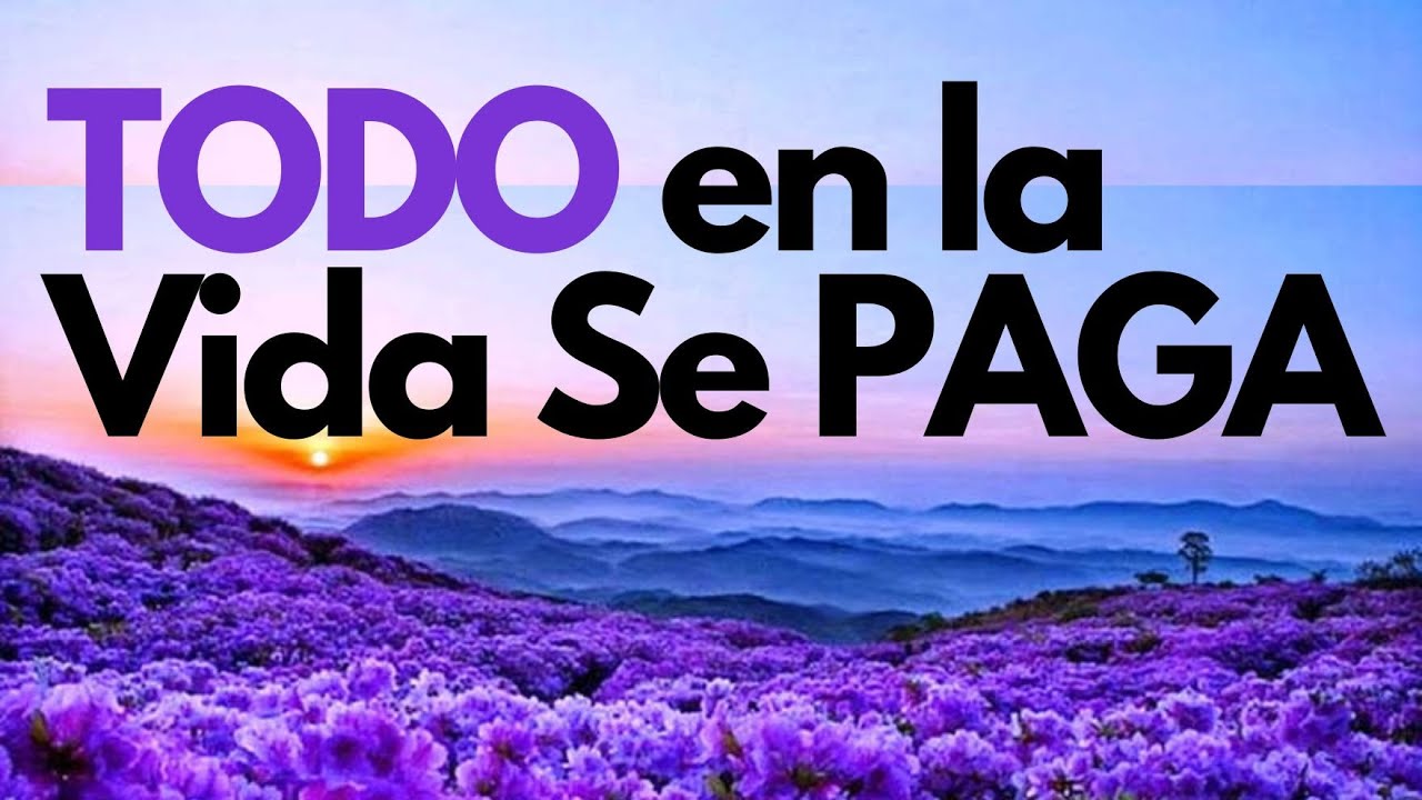 karma el que la hace la paga frases