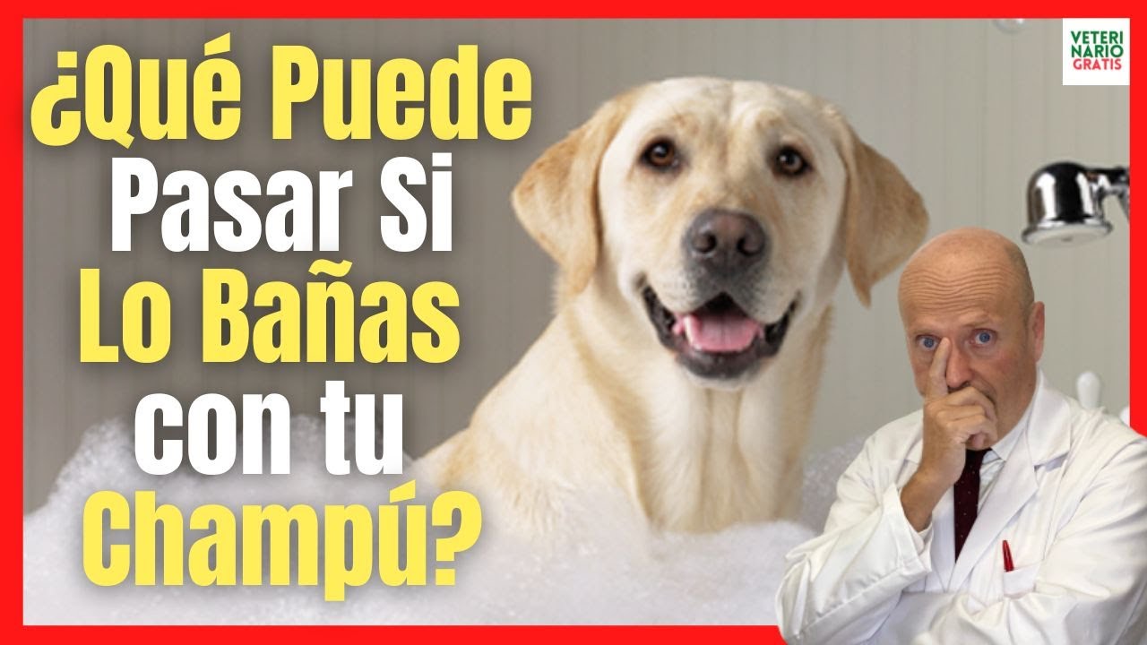 puedo bañar a mi perro con jabon roma