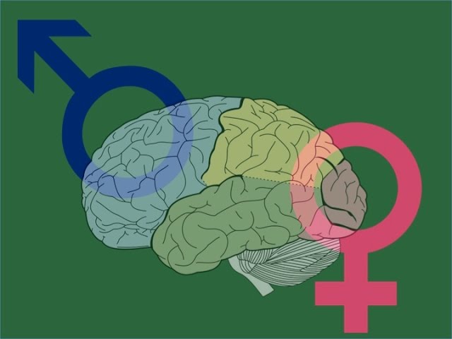 que diferencia hay entre un hombre y una mujer