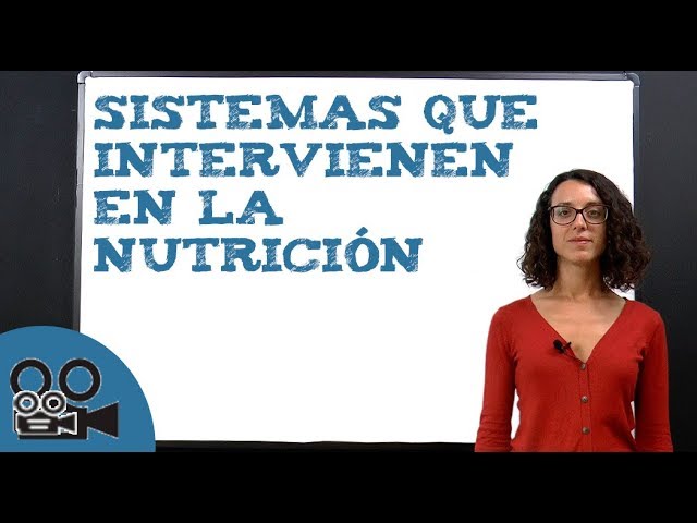 que sistemas estan relacionados con la nutricion humana