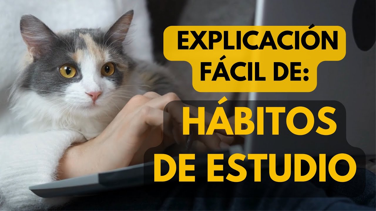 que son los habitos de estudio y cuales son
