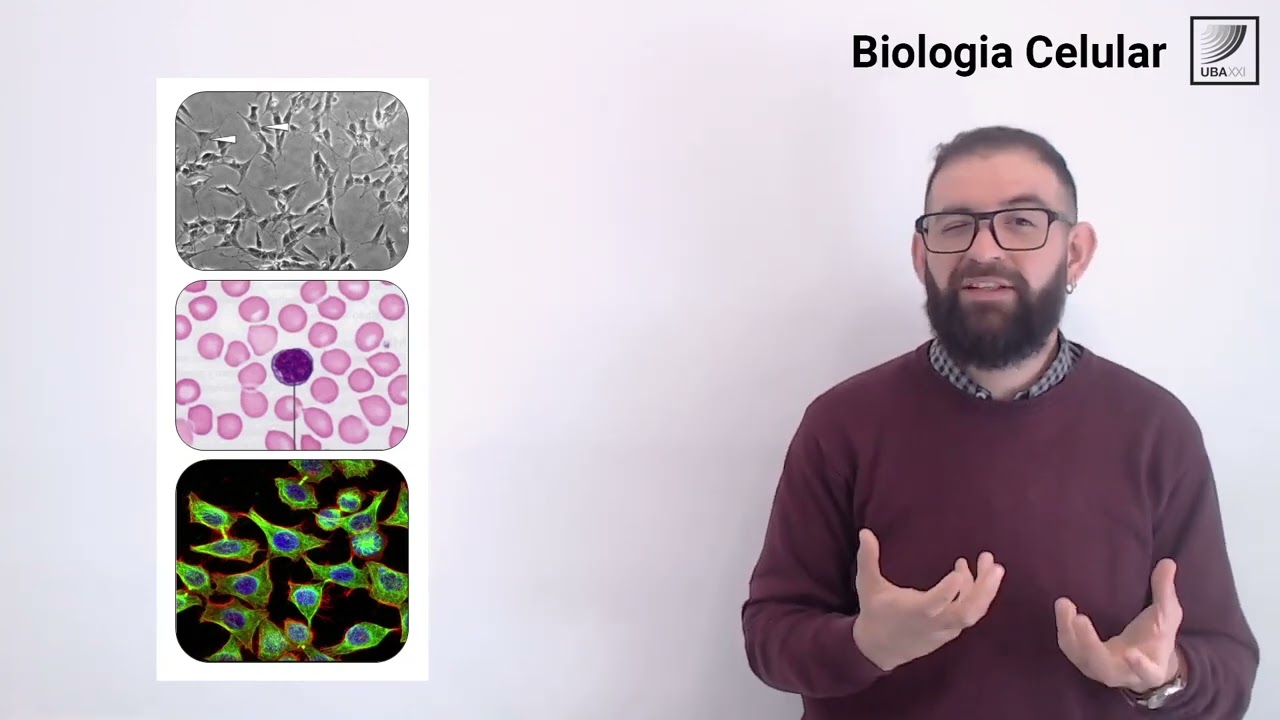 tipos de microscopios que existen en la actualidad