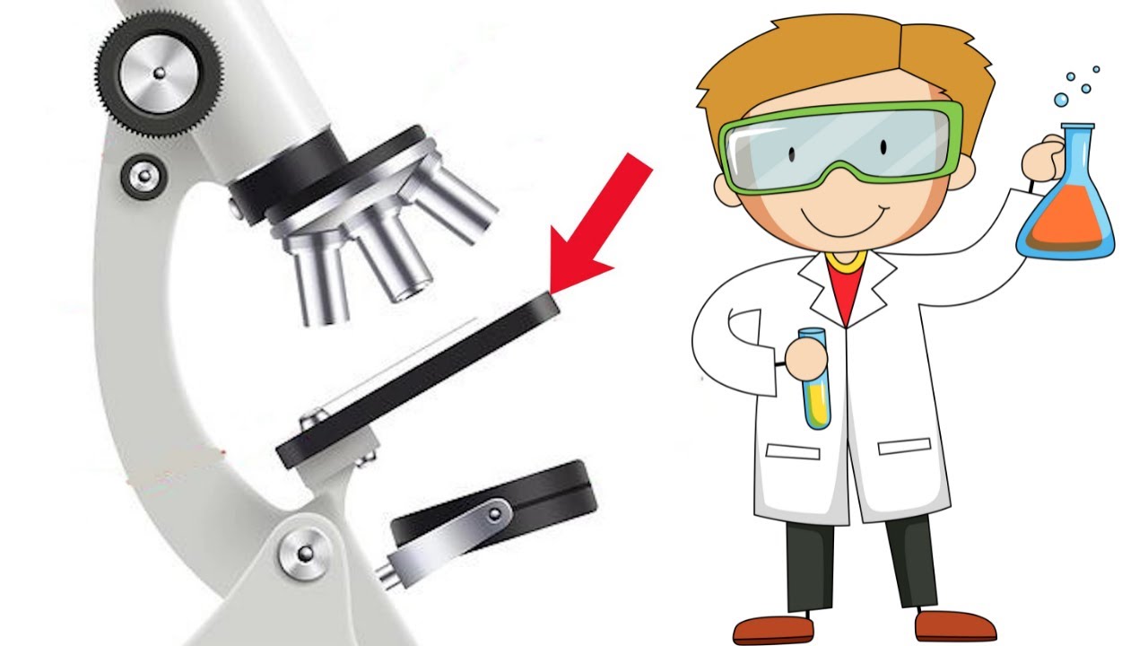 que es el tornillo micrometrico de un microscopio