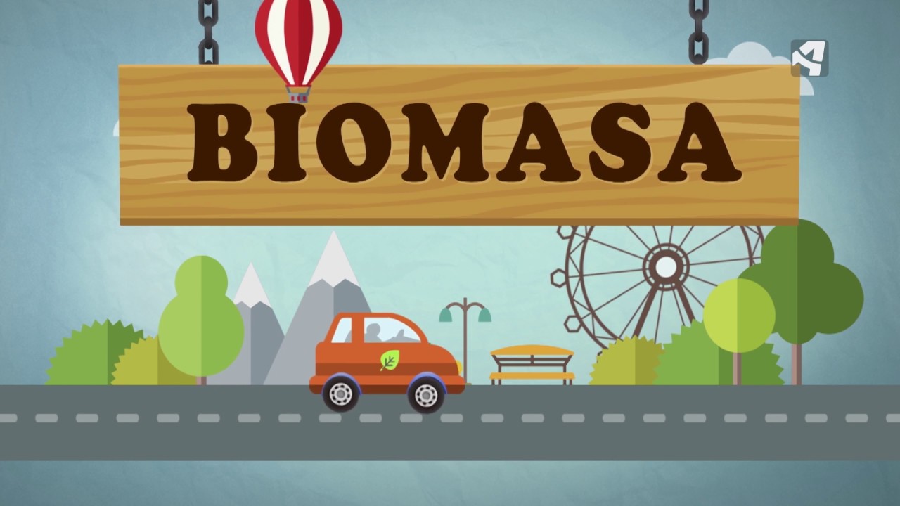 que es la biomasa y en que unidades se mide