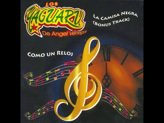 te di lo mejor de mi y no sirvio